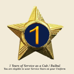 Cubs / Bulbul Service Stars Pins – 1 Year