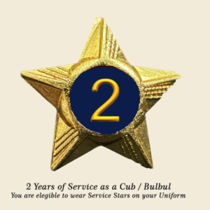 Cubs / Bulbul Service Stars Pins – 2 Year
