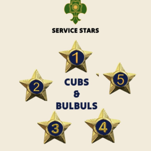 Cubs / Bulbul Service Stars Pins – 2 Year