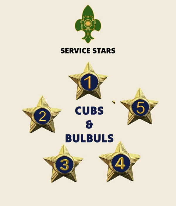 Cubs / Bulbul Service Stars Pins - 4 Year - Image 2