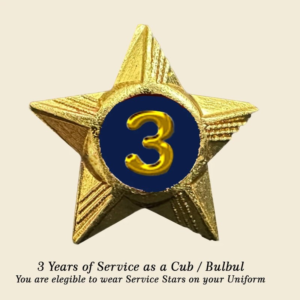 Cubs / Bulbul Service Stars Pins – 3 Year