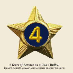 Cubs / Bulbul Service Stars Pins – 4 Year