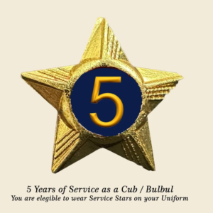 Cubs / Bulbul Service Stars Pins – 5 Year