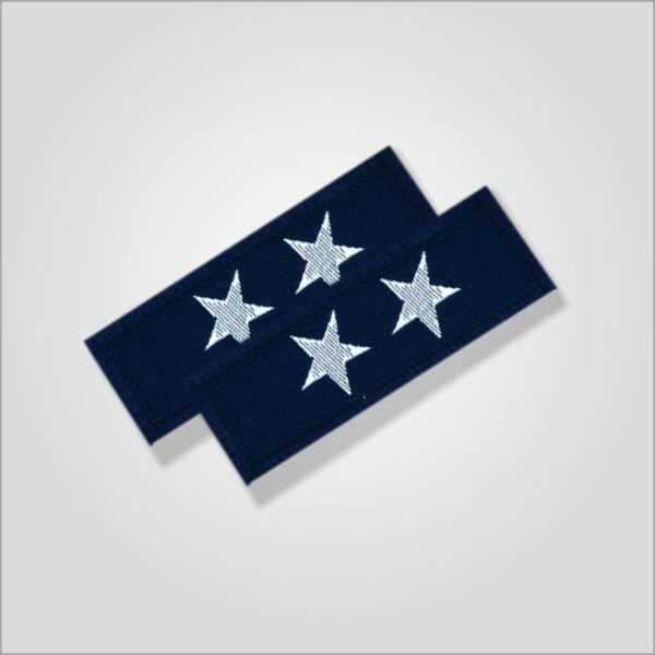 Dwitiya Charan Badges - Image 4