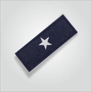 Pratham Charan Badges