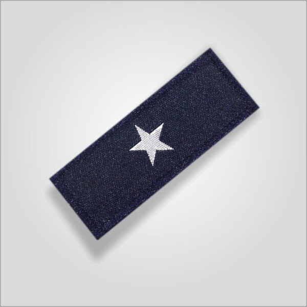 Pratham Charan Badges