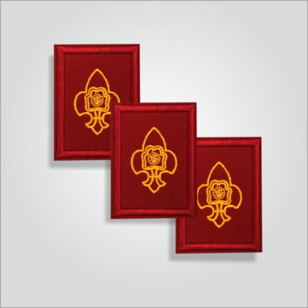 Pravesh Badge Rover/Ranger - Image 4