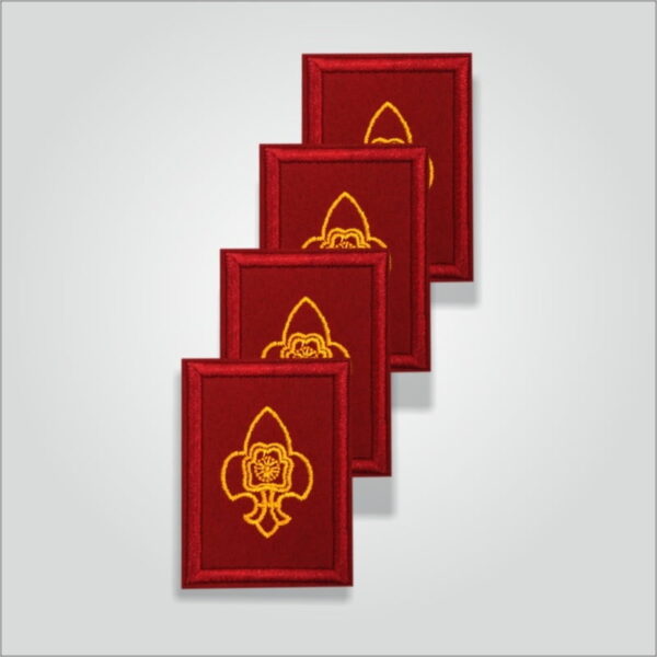 Pravesh Badge Rover/Ranger - Image 2