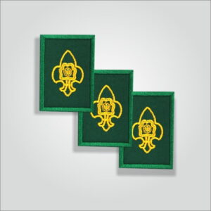 Pravesh Badge Scout / Guide