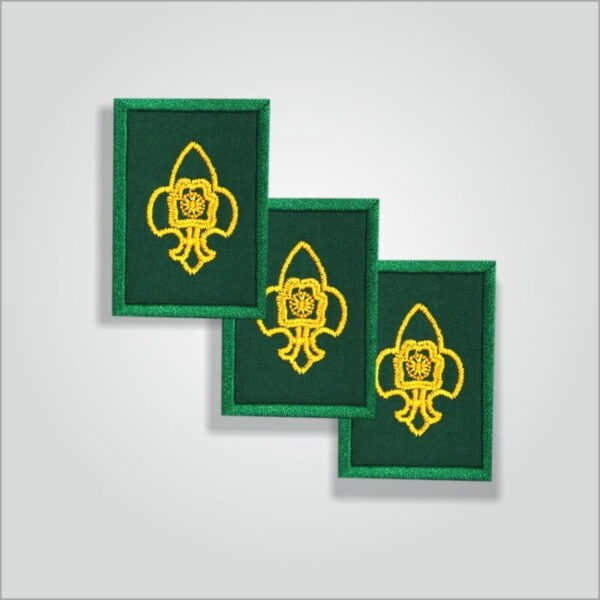 Pravesh Badge Scout / Guide - Image 2