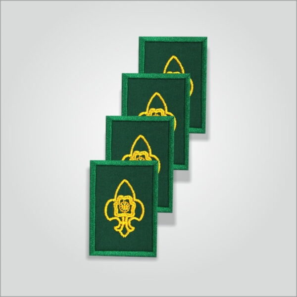 Pravesh Badge Scout / Guide - Image 4