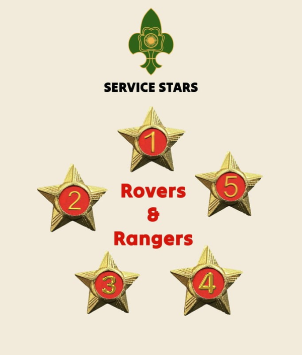 Rovers / Rangers Service Stars Pins - 1 Year - Image 2