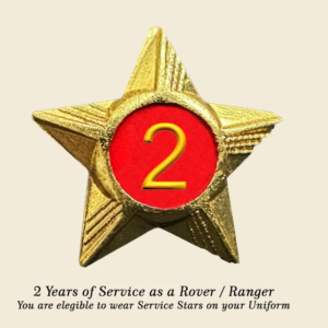 Rovers / Rangers Service Stars Pins – 2 Year