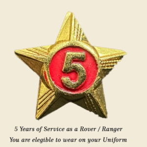 Rovers / Rangers Service Stars Pins – 5 Year