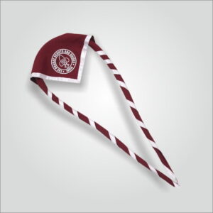 Scarf (BSG Logo)
