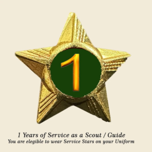 Scouts / Guides Service Stars Pins – 1 Year