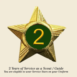 Scouts / Guides Service Stars Pins – 2 Year