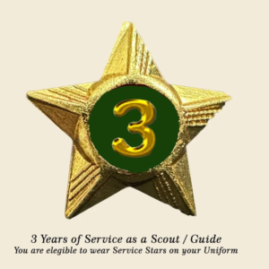 Scouts / Guides Service Stars Pins – 3 Year
