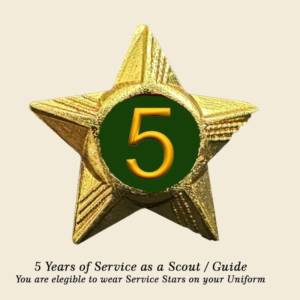 Scouts / Guides Service Stars Pins- 5 Year
