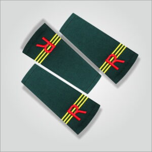Progressive Level Badges
