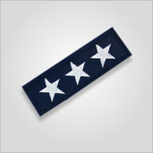 Tritiya Charan Badges