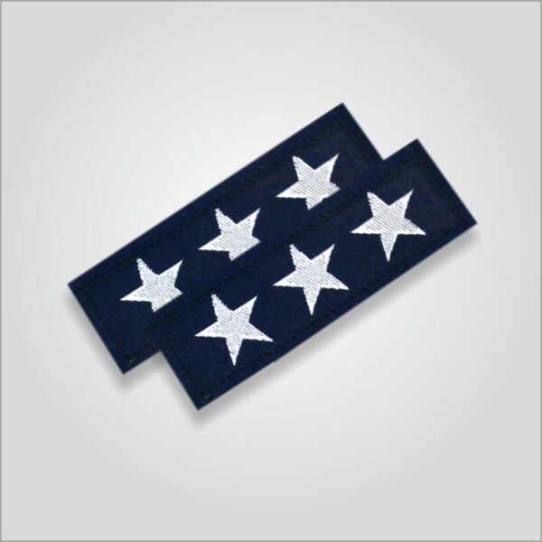 Tritiya Charan Badges - Image 2