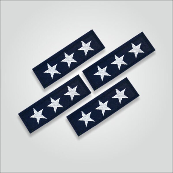 Tritiya Charan Badges - Image 3