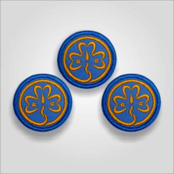 World Guide Badge - Image 2