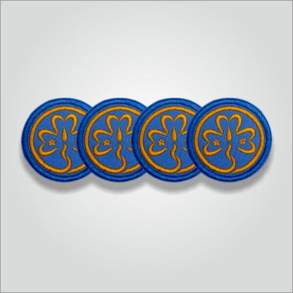 World Guide Badge - Image 4