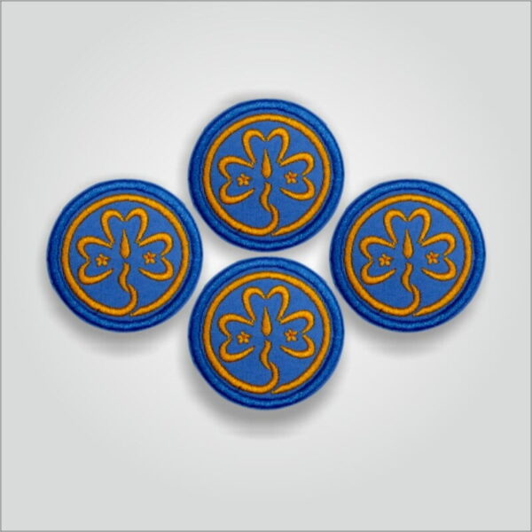 World Guide Badge - Image 3